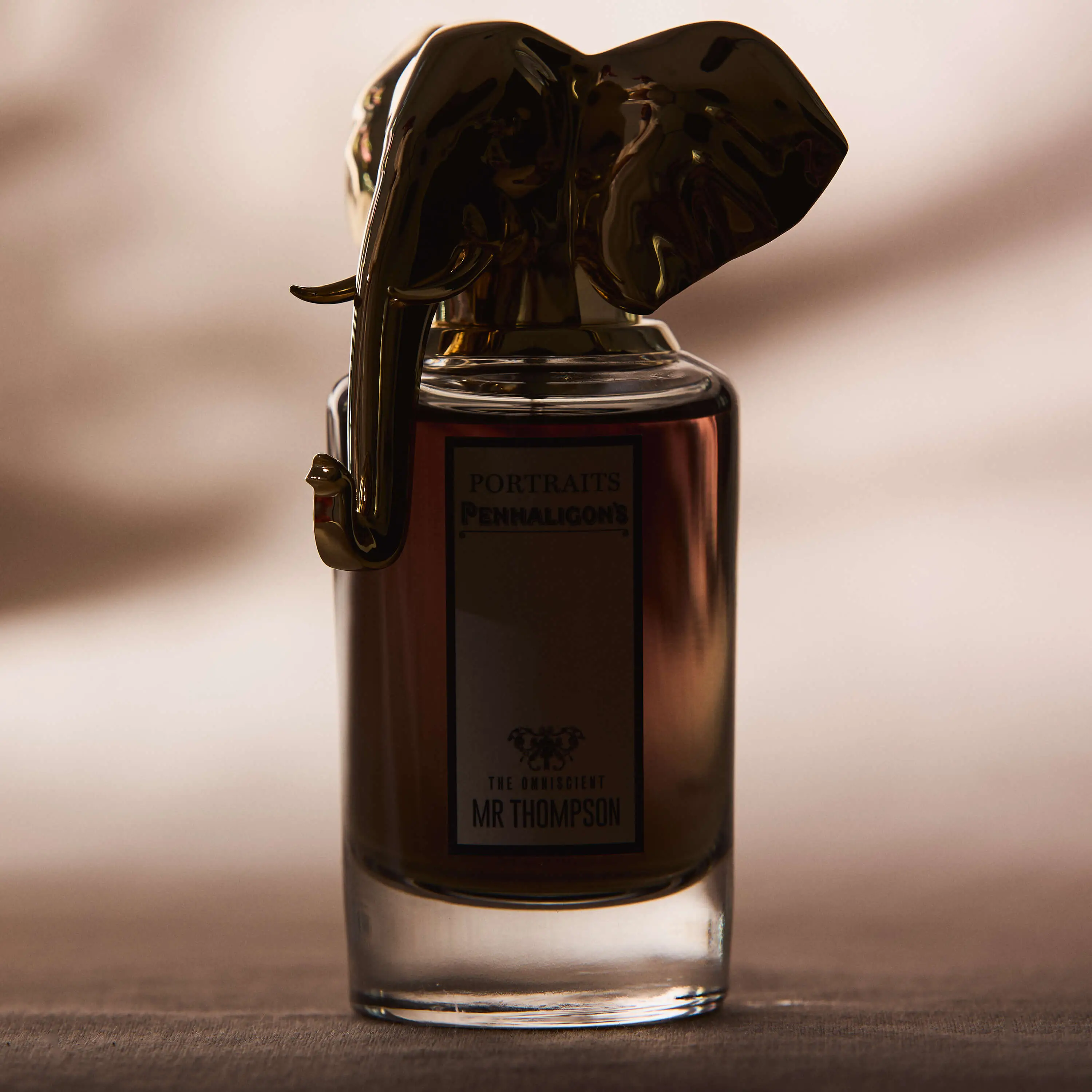 The Omniscient Mister Thompson | The Scent Nest The Omniscient Mister Thompson - Eau de Parfum