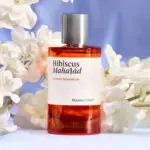 hibiscus-mahajad-maison-
