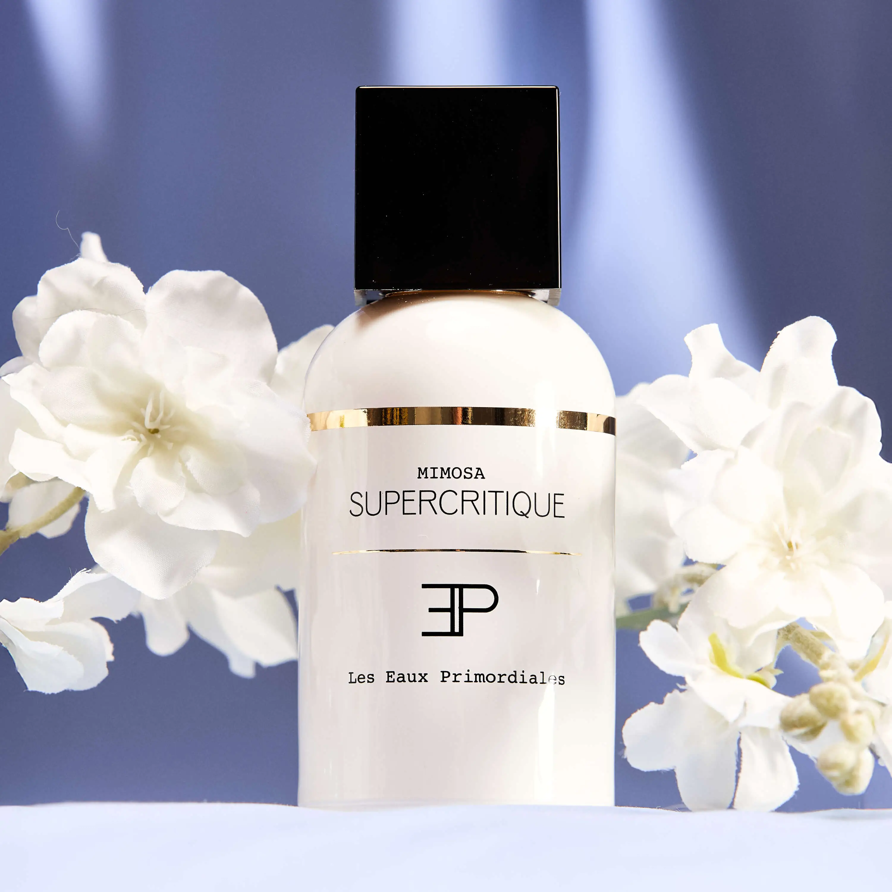 Mimosa Supercritique | The Scent Nest Mimosa Supercritique - Eau de Parfum