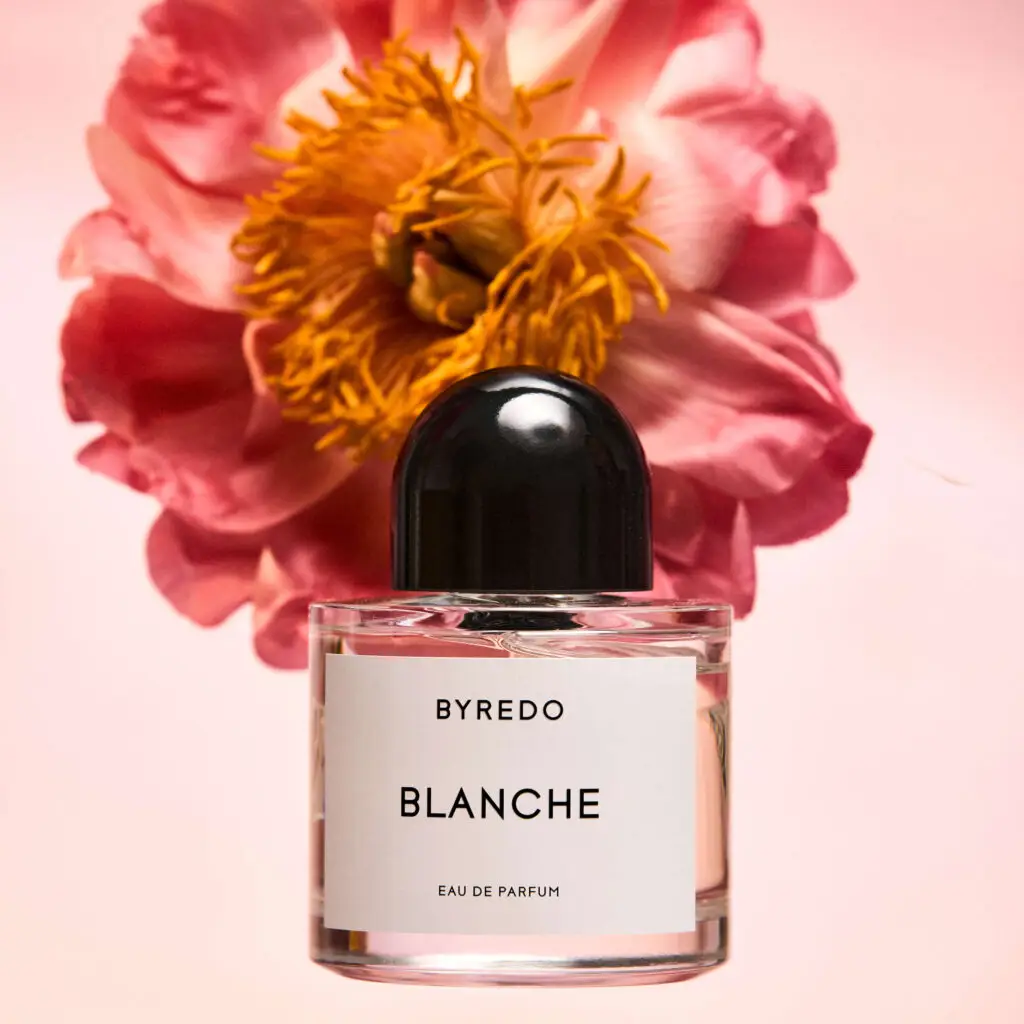 The Scent Nest | The Scent Nest